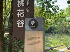 -中山市树木园