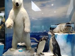 -国家自然博物馆