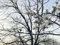 -西湖风景区-江洋畈生态公园