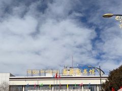 -西藏自治区图书馆