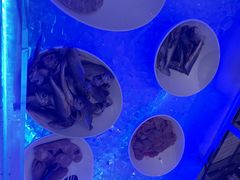 -元一希尔顿酒店·禅自助餐厅·啤酒花园