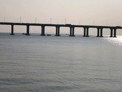 -宝安西湾红树林湿地公园