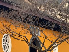 -无锡梅园公园
