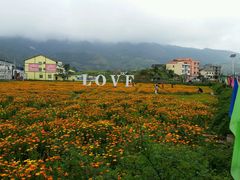 android_upload_pic-乐天花谷