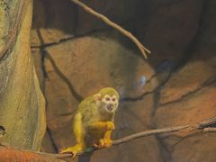 -波塞冬旅游度假区