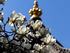 -西安市广仁寺