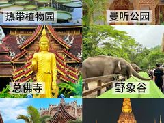 -西双版纳原始森林公园