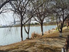 -澹台湖公园