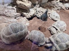 -杭州野生动物世界