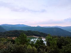 -大姆山草场