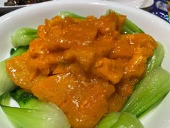 蟹黄扒鱼肚-燕春楼(海河华鼎店)