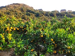 -海宁大尖山滑翔伞运动基地