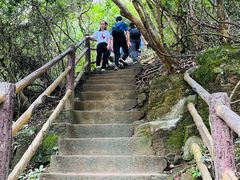 -马峦山郊野公园