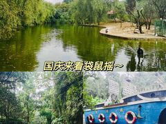 -贵州森林野生动物园