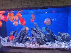 -威海华夏城景区