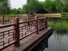 -北坞公园