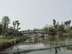 -上海长兴岛郊野公园