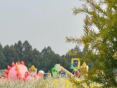 -空港花田景区