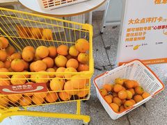 -来噻布布 Lets BUBU