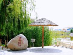 -新疆国际大巴扎