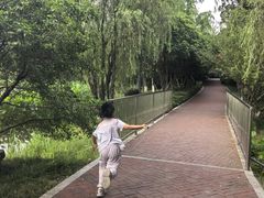 -金鸡湖桃花岛