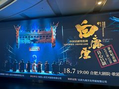 -合肥大剧院