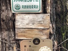 -东山雕花楼