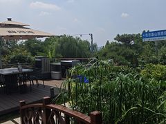 -蘇河湾·新鲁菜·泰山宴(泰山店)