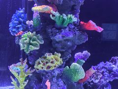 -厦门海底世界