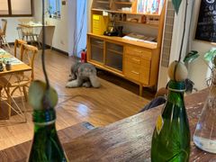 -沏点Trattoria意大利餐厅(新街口店)