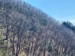 -牛背梁国家森林公园