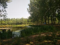 -东郊湿地公园