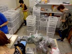 -璐坊粽王(复兴中路店)