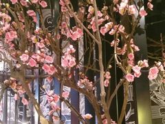 -老板恋上鱼(印象城店)