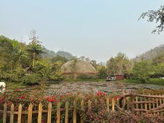 -野象谷景区