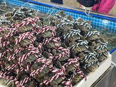 -三亚新鸿港水果一级批发市场