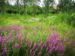 -八喜冰淇淋蛋糕(富国店)