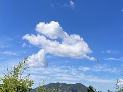 -江南天池