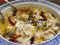 招牌酸菜海鲈鱼-川香鼎盛(市桥富华总店)