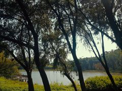 -福建鲤鱼洲酒店