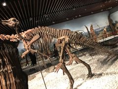 -万圣禄茶楼(西平店)