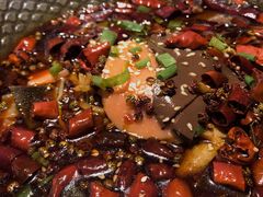 海鲜毛血旺-乾园(天河城店)