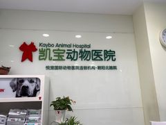 -悦宠凯宝动物医院·牙科·皮肤科(朝阳北路店)