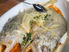 -得心斋(国瑞升平里店)