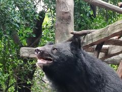 -长鹿旅游休博园