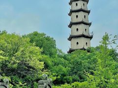 -江心屿景区