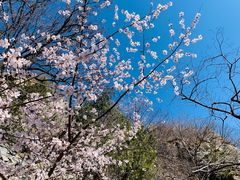 -北京鹫峰国家森林公园