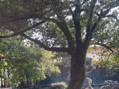 -浙江省博物馆(孤山馆区)