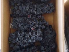 -东方鼎信农副产品交易中心