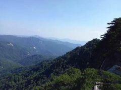 -内乡宝天曼生态旅游区
